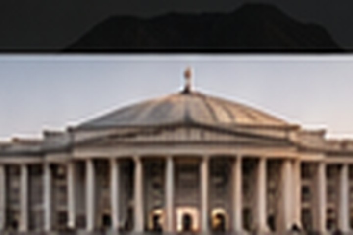 Public Sector